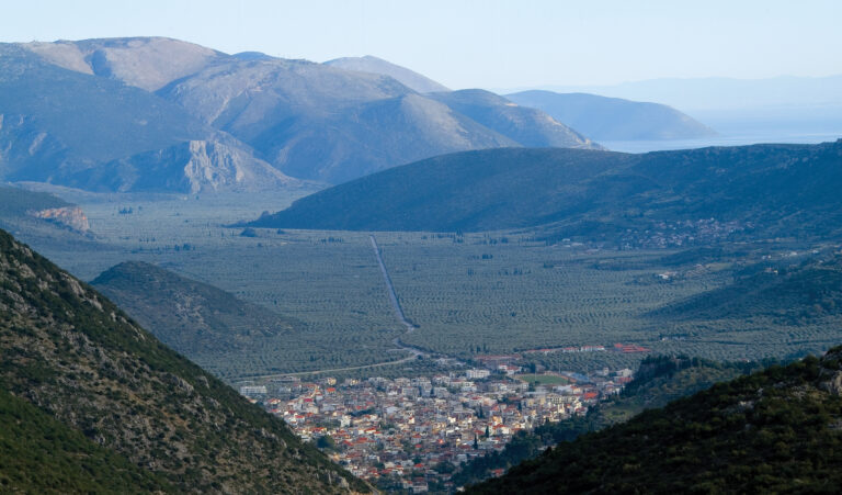 Ελαιώνας Άμφισσας στη Φωκίδα