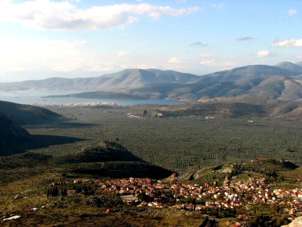 Πανοραμική άποψη του ελαιώνα της Άμφισσας, της Ιτέας και του Κορινθιακού κόλπου με τα βουνά της Φωκίδας - Ταξίδι στη Φωκίδα