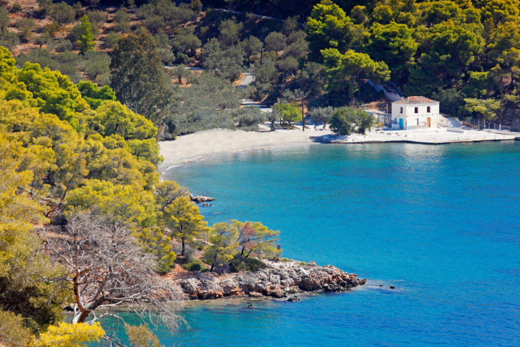 Η παραλία στον Ρώσικο Ναύσταθμο στον Πόρο με καθαρά νερά και πεύκα δίπλα στην ακτή.