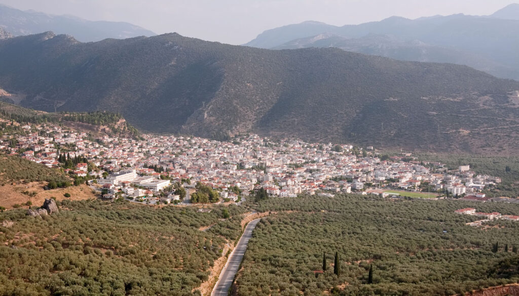 Πανοραμική εικόνα της Άμφισσας με ελαιώνες και βουνά στο φόντο.