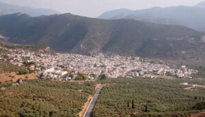 Πανοραμική εικόνα της Άμφισσας με ελαιώνες και βουνά στο φόντο.