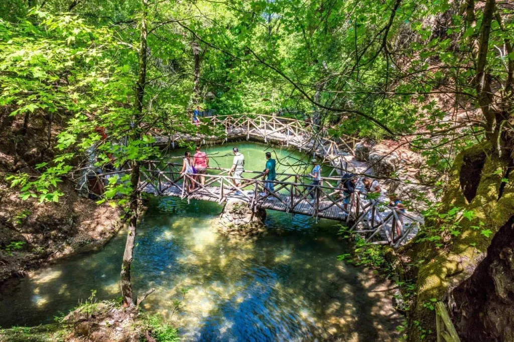 Ξύλινη γέφυρα στο καταπράσινο τοπίο της Κοιλάδας με τις Πεταλούδες – Ταξίδι στη Ρόδο