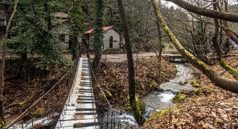 Κρεμαστή γέφυρα στο Πάρκο της Παυλιανής δίπλα στο ποτάμι
