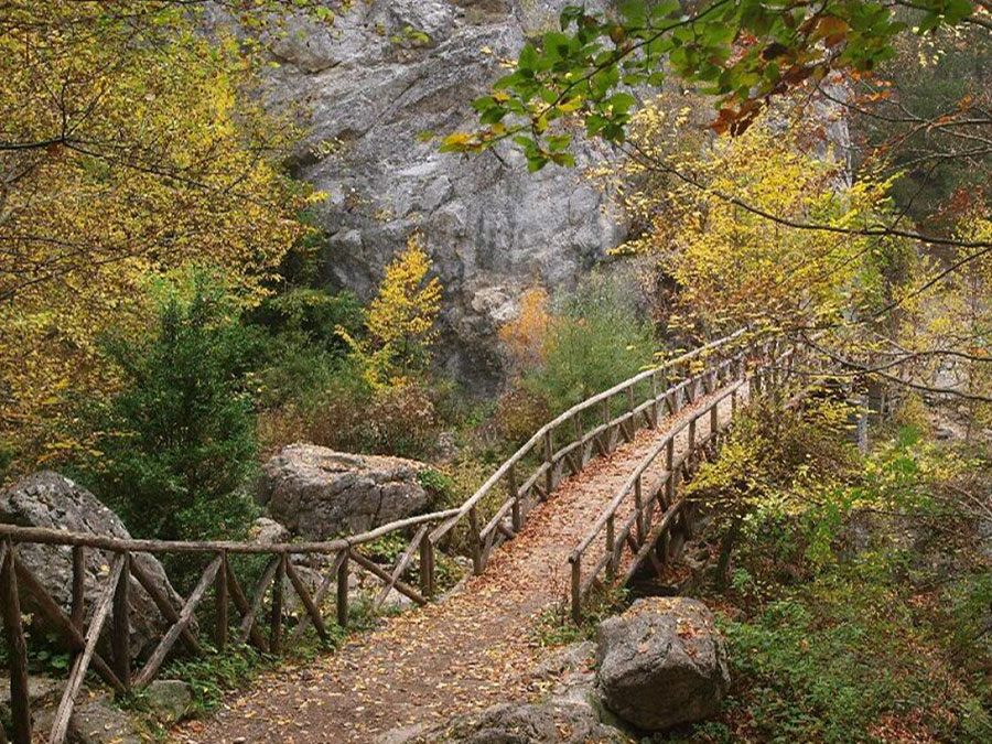 Ξύλινη γέφυρα μέσα στο φαράγγι του Ενιπέα στο Εθνικό Πάρκο Ολύμπου.
