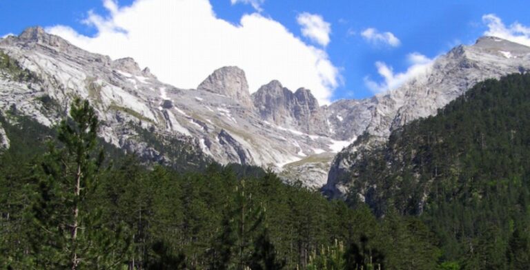 Θέα του Ολύμπου με δάση και κορυφές κάτω από καθαρό ουρανό